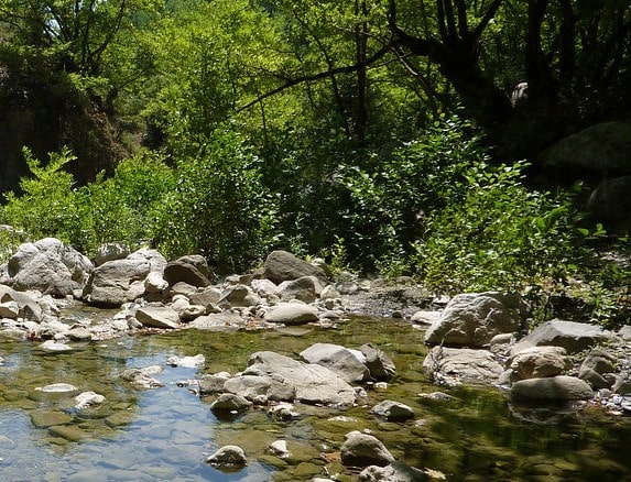 Ναυπακτία